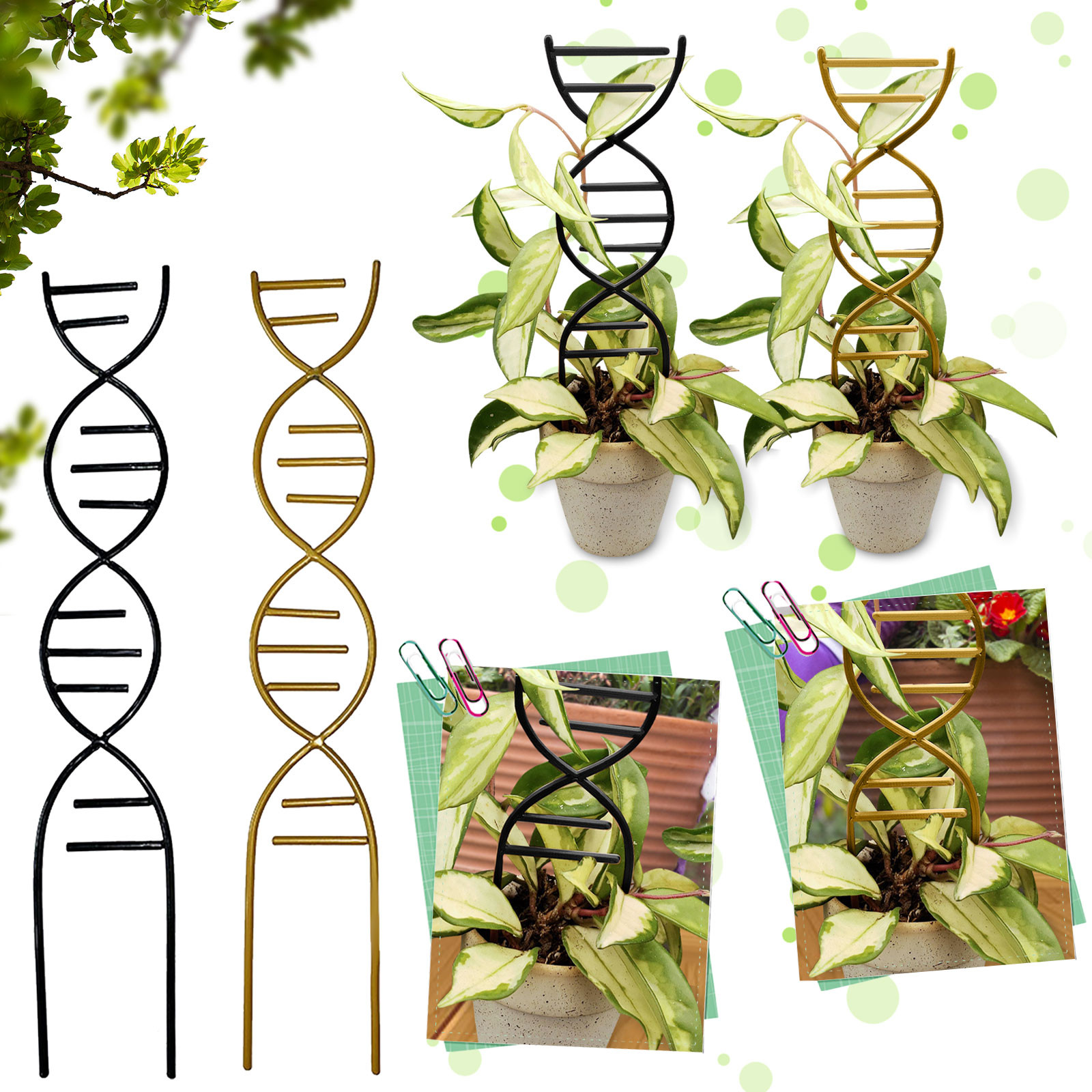Gardening Tools And Uses - Plant Climbing Support Gardens Flower Pots