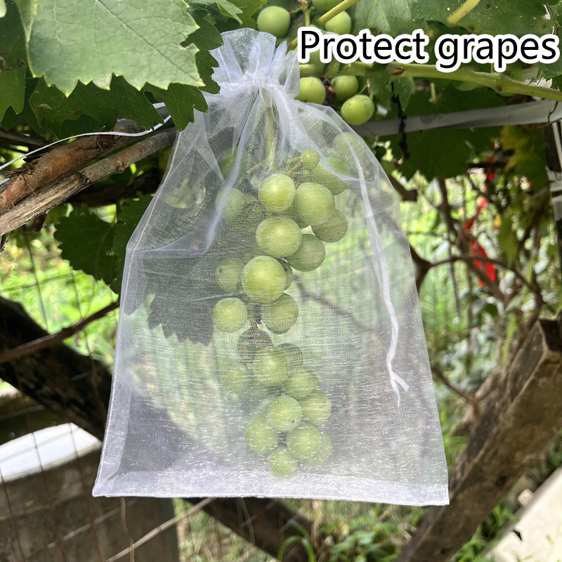 Grow Bags - 50Pcs Grapes Fruit Protection Bags Pest