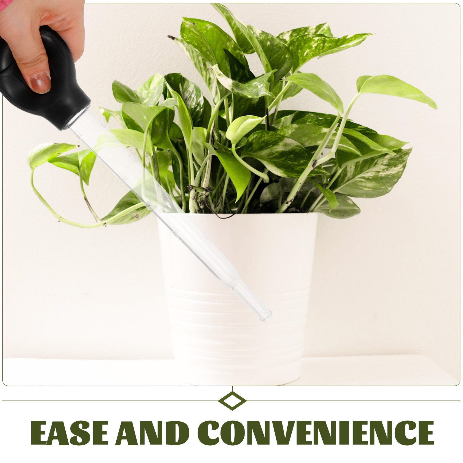 2Pcs Saucer Water Absorber Lon - Gardening Tools Water のレビューと価格