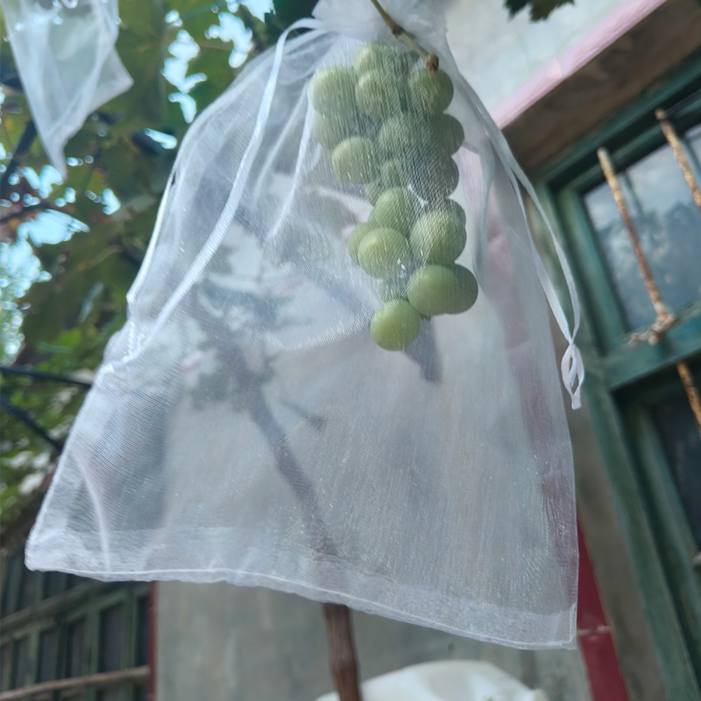 100pcs Mesh Grapes Fruit Grow  - Grow Bags のレビューと価格