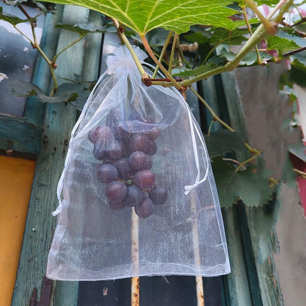 100pcs Mesh Grapes Fruit Grow  - Grow Bags のレビューと価格