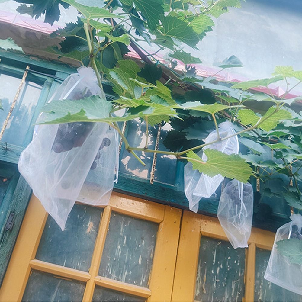 100pcs Mesh Grapes Fruit Grow  - Grow Bags のレビューと価格