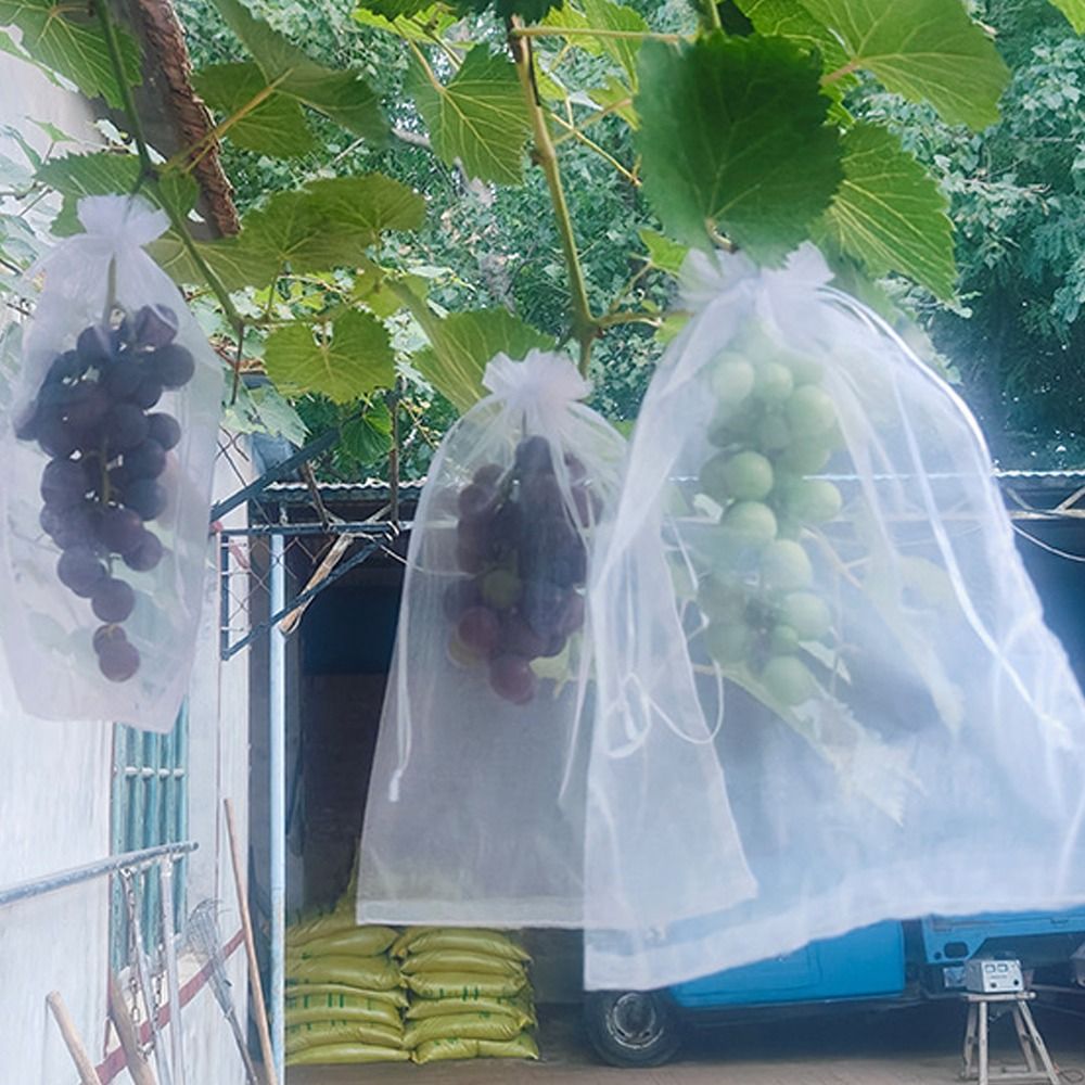 100pcs Mesh Grapes Fruit Grow  - Grow Bags のレビューと価格
