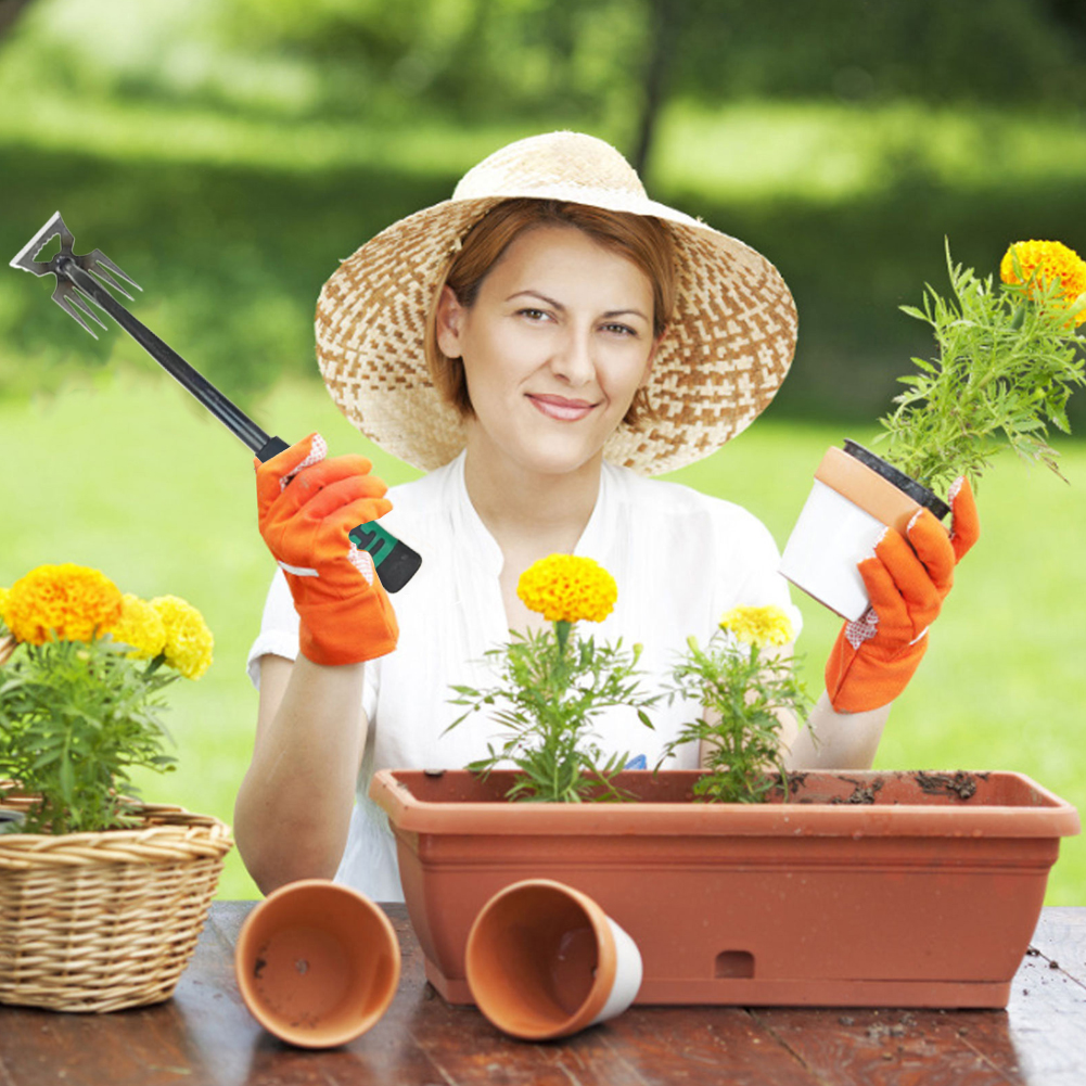 5/6/11 Tines Gardening Hand We - Gardening Tools To Remove Weeds のレビューと価格