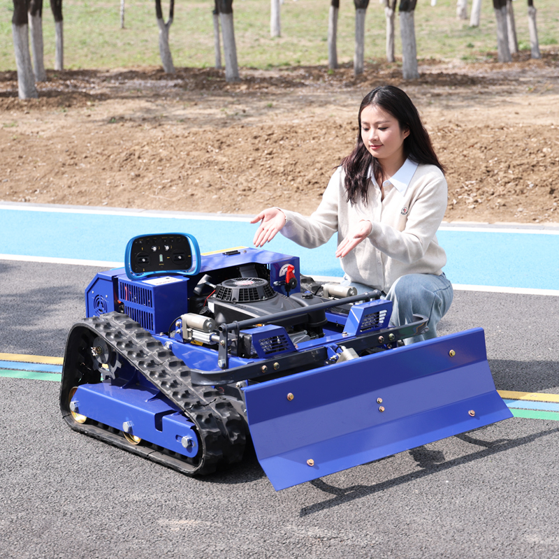 Customized Cordless Electric L - Gardening Tools For Home のレビューと価格
