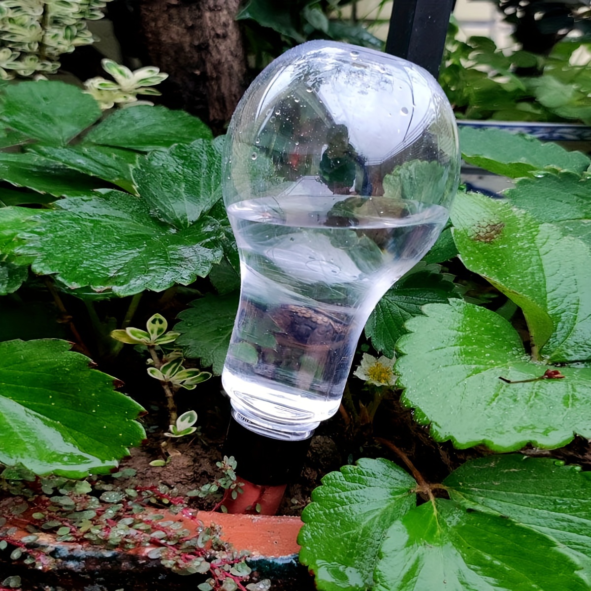 Garden Automatic Watering Tool - Gardening Tools Water のレビューと価格