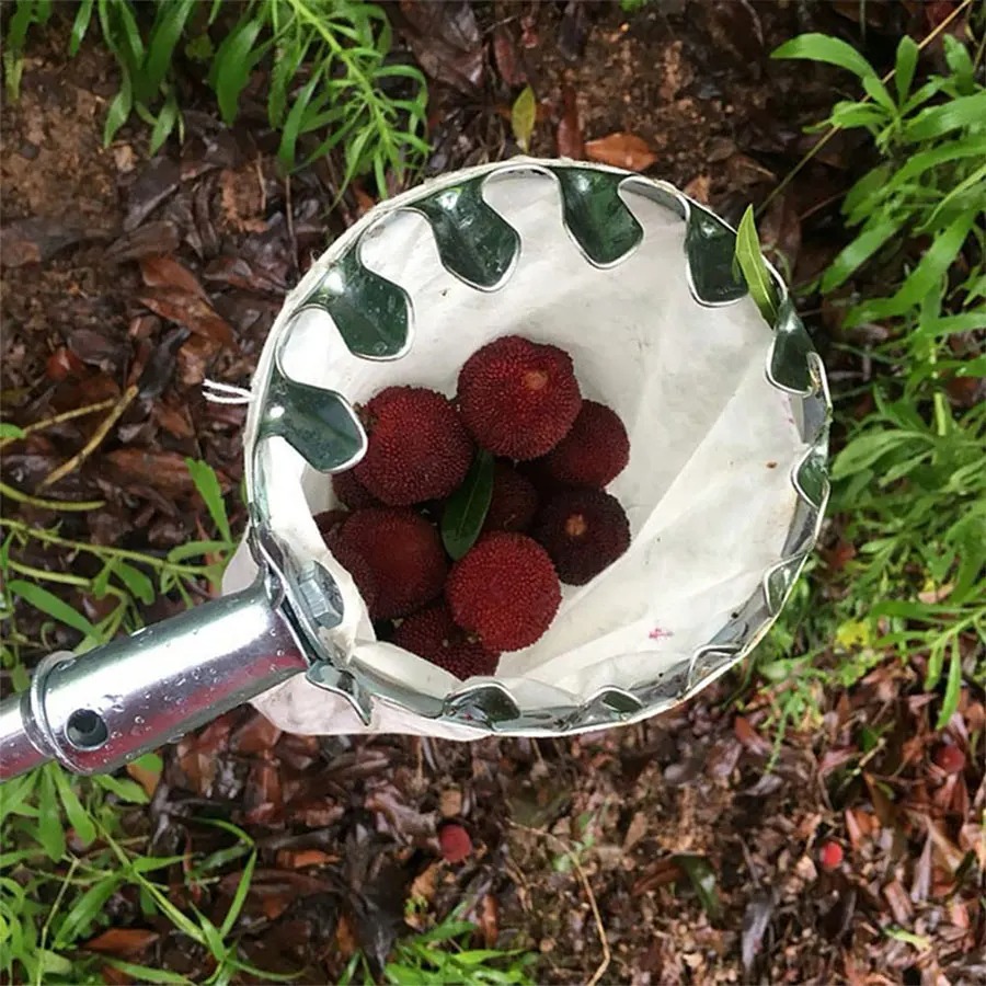 3-in-1 Fruit Harvesting Tool S - Grow Bags のレビューと価格