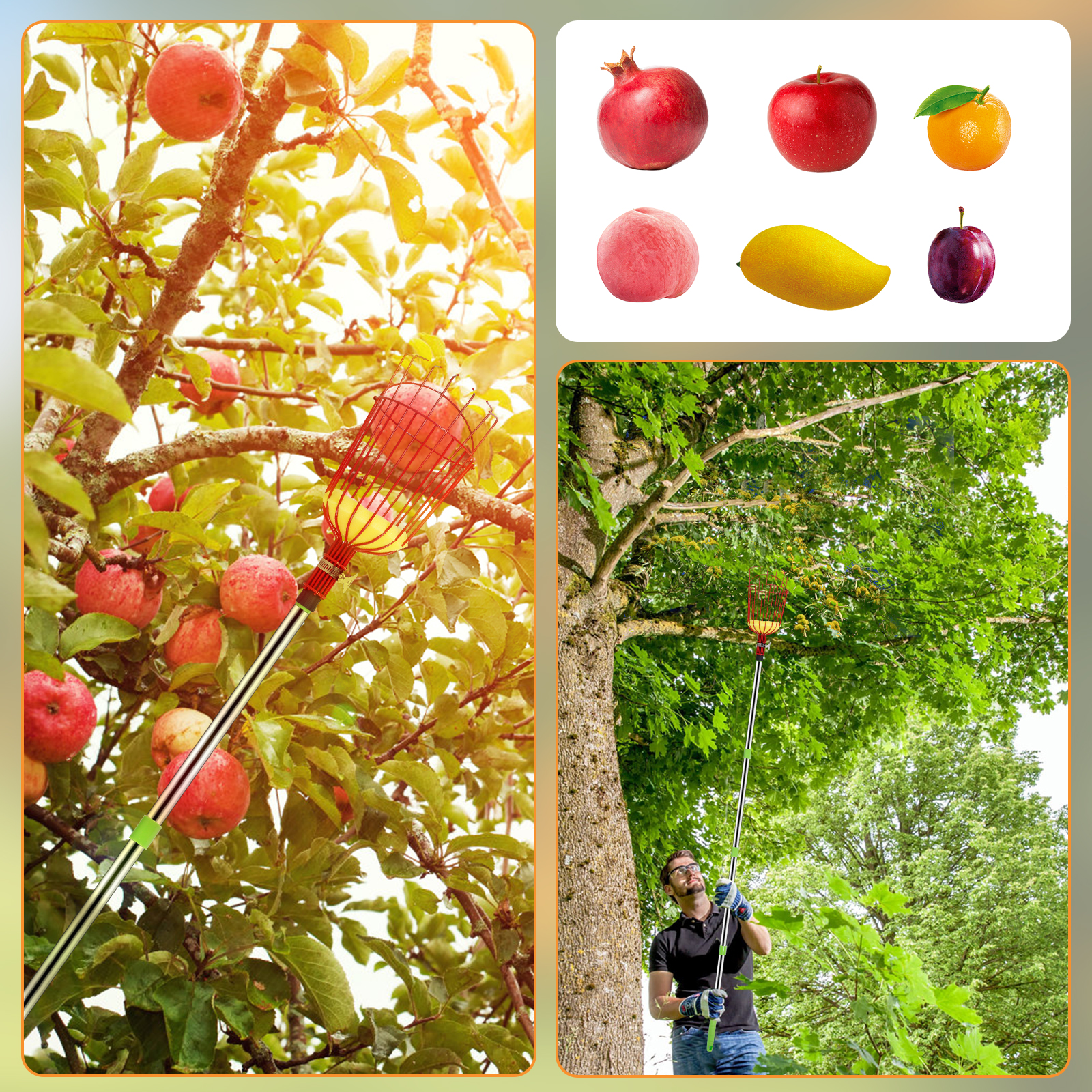 Deep Basket Fruit Picker Catch - Gardening Tools For Women のレビューと価格