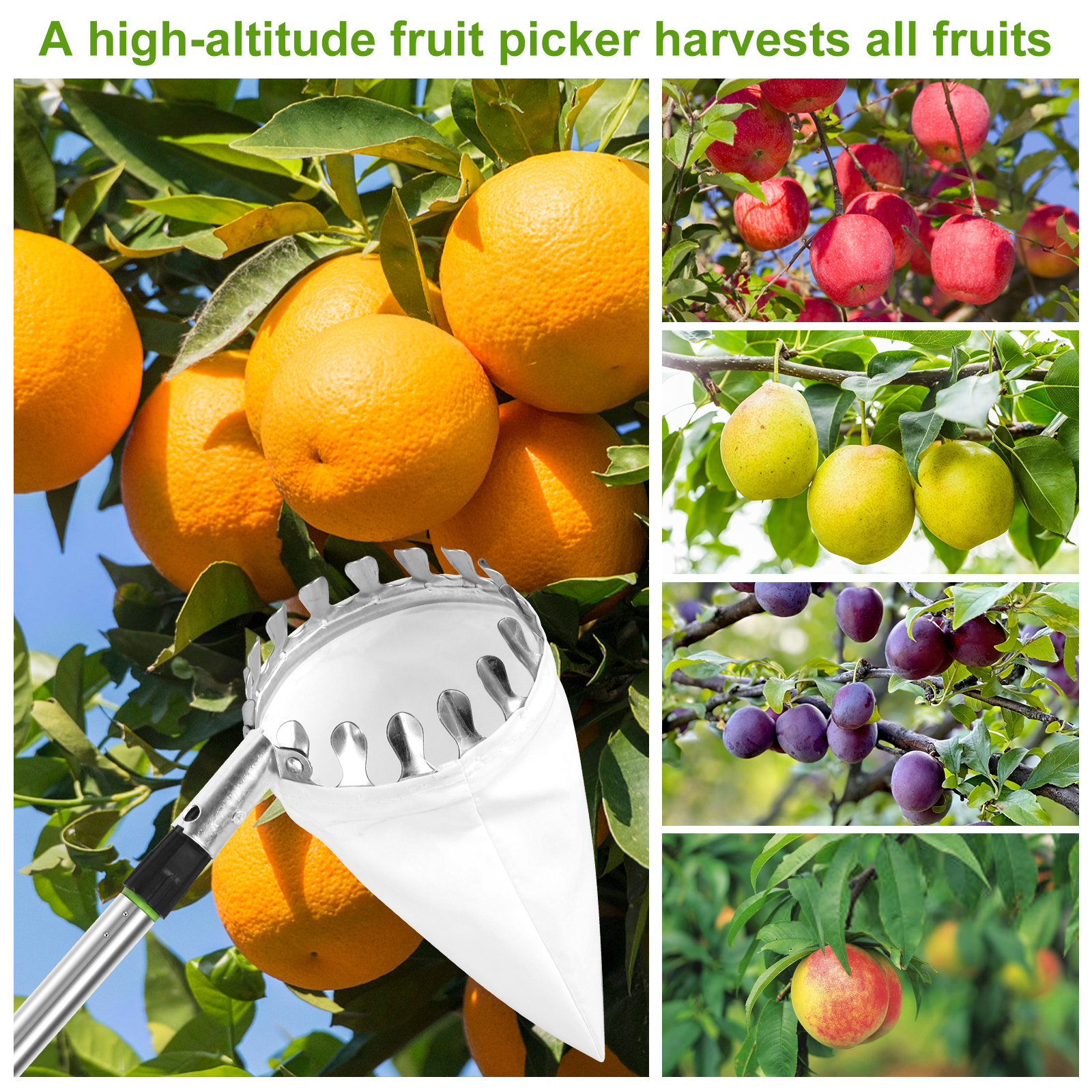Deep Basket Fruit Picker Catch - Gardening Tools For Women のレビューと価格