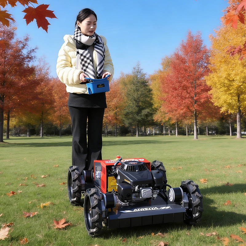 Customized lawn mowers for sal - Gardening Tools Kit For Sale のレビューと価格
