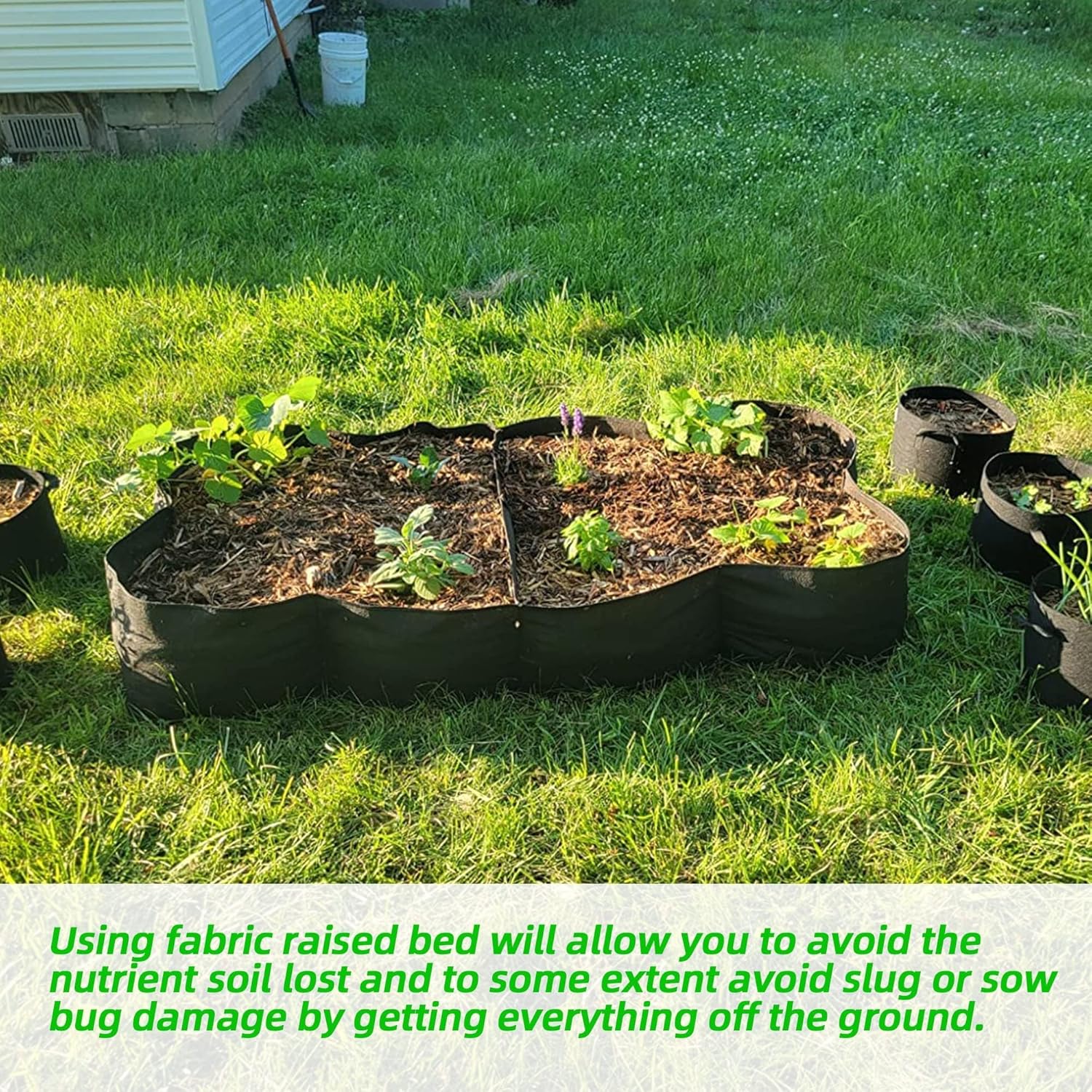 Fabric Raised Garden Bed, 2Pac - Grow Bags のレビューと価格