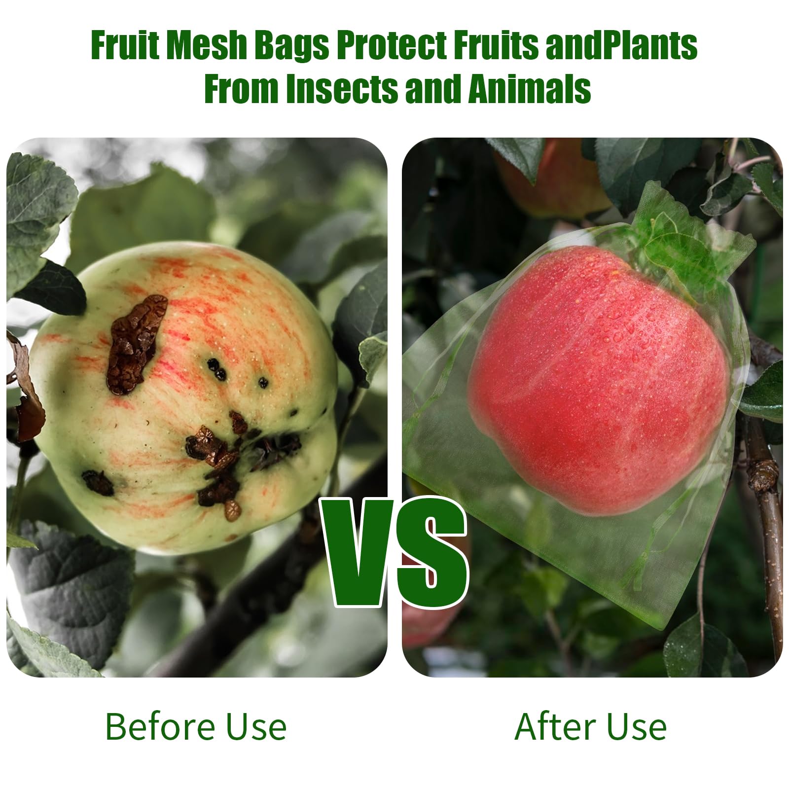 2026 New Fruit Protection Nett - Grow Bags のレビューと価格