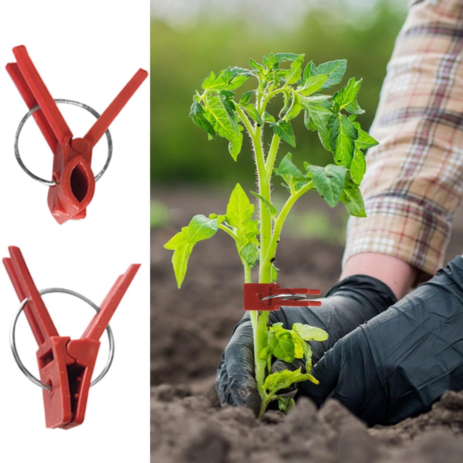 50Pcs Plant Grafting Clip Plas - Gardening Tools And Uses のレビューと価格