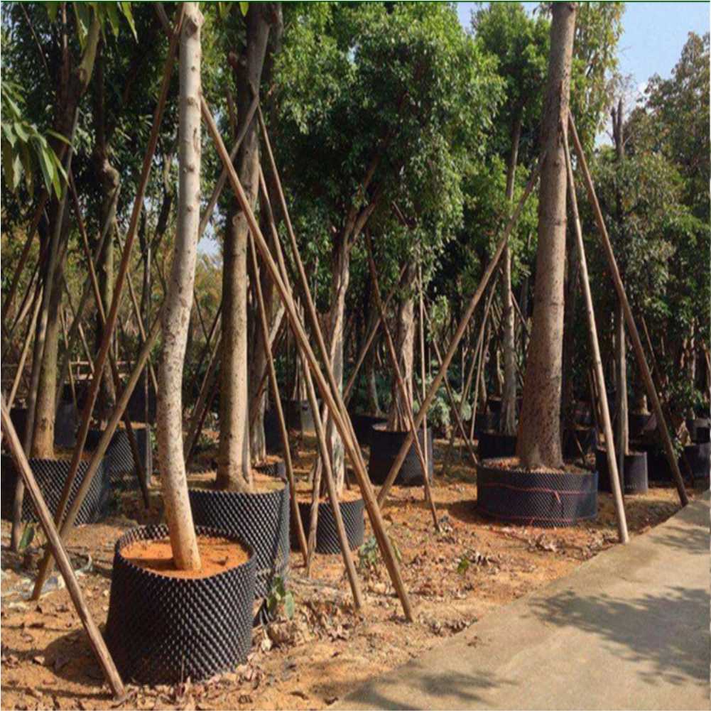 Grow Container Garden Tree Bon - Gardening Tool のレビューと価格