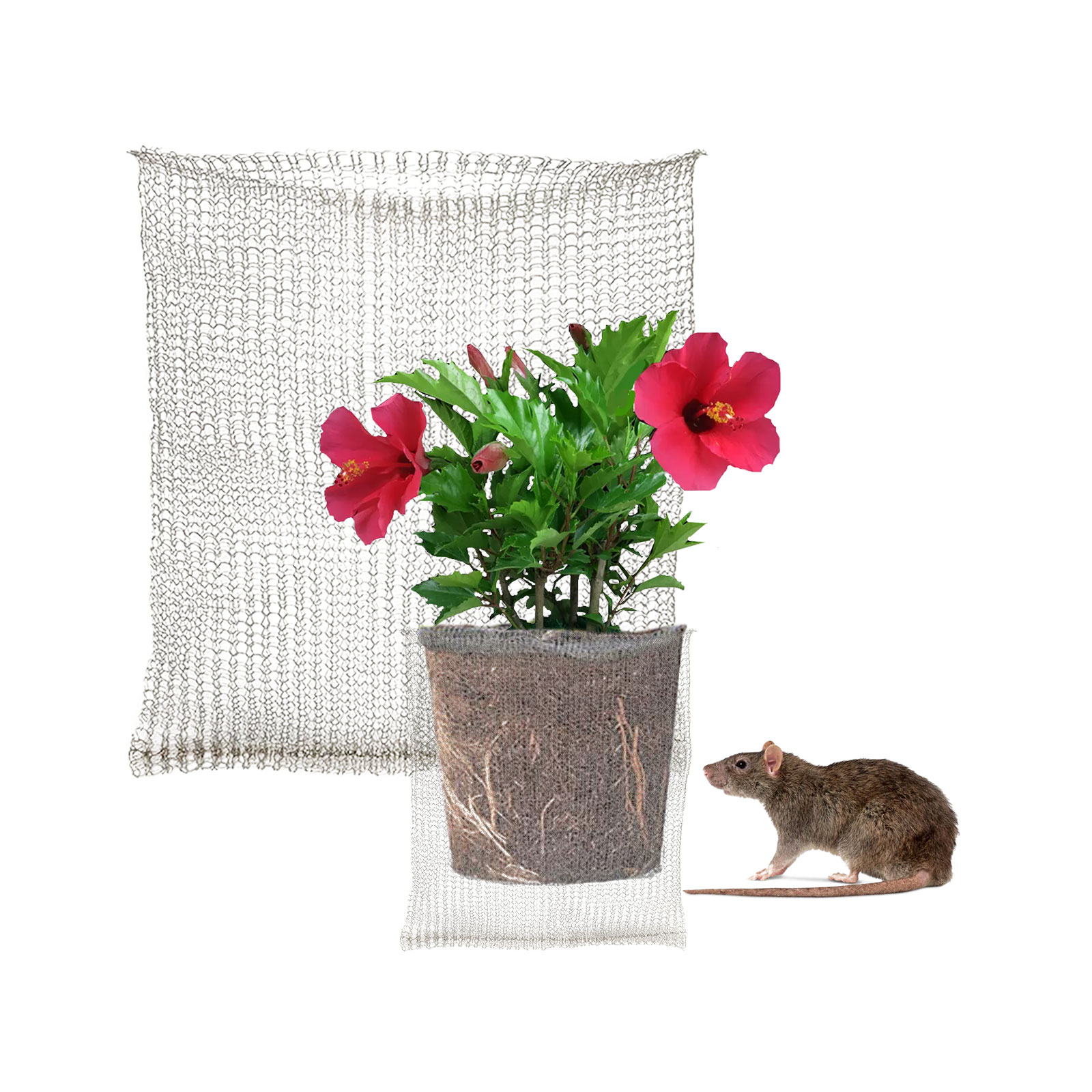 Plant Root Guard Baskets Garde - Grow Bags のレビューと価格