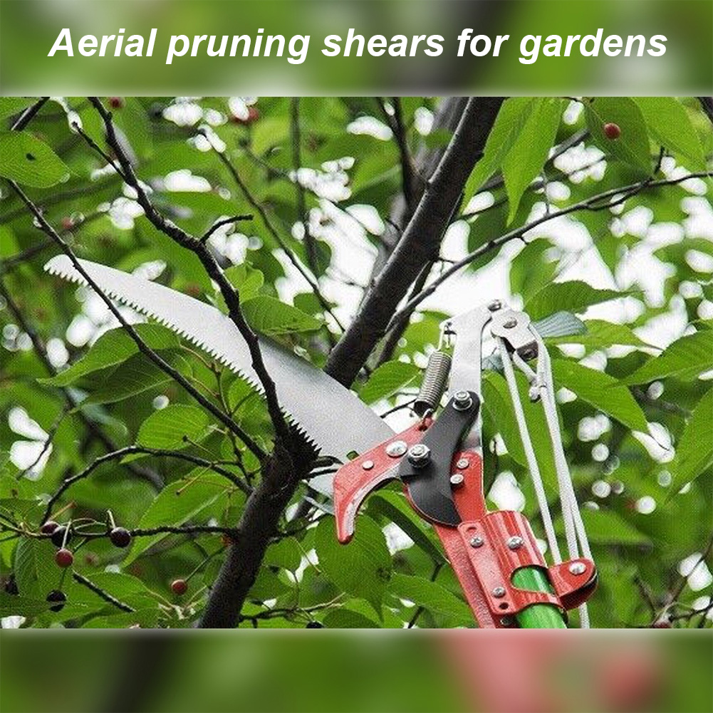 Pruning Shears Labor-Saving Hi - Gardening Tools Picture のレビューと価格