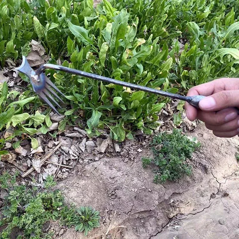 Garden Weeders Grass Hand Weed - Gardening Tools To Remove Weeds のレビューと価格