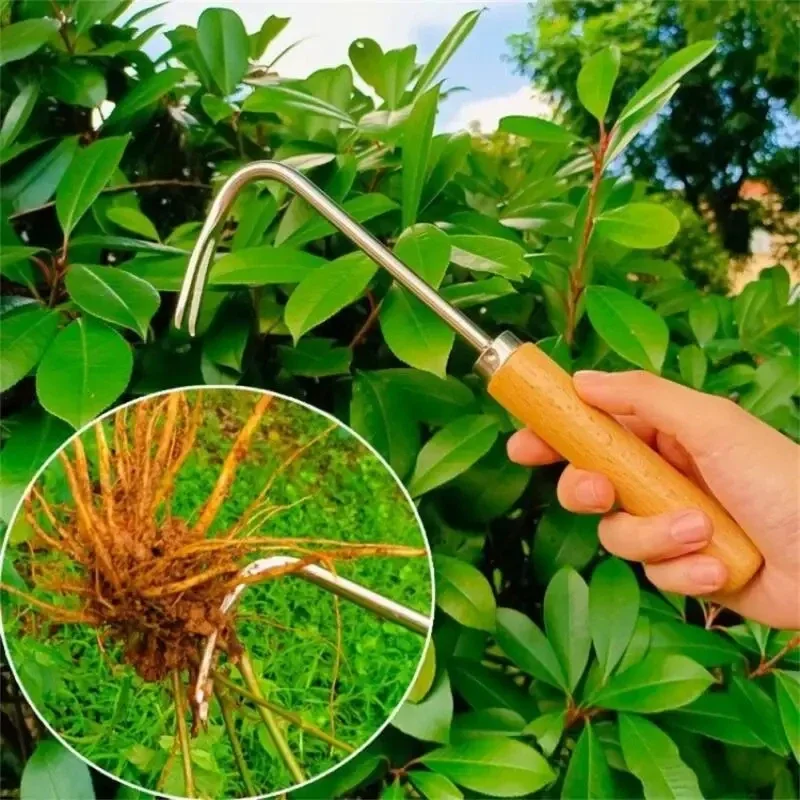 Stainless Steel Gardening Weed - Gardening Tools To Remove Weeds のレビューと価格