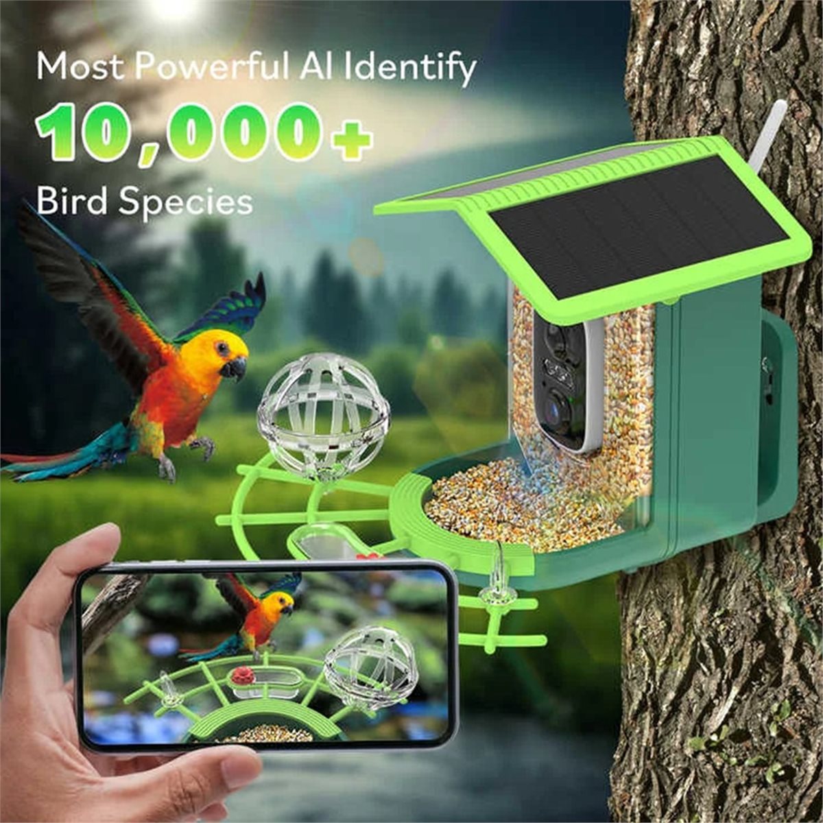 ABPP Smart Bird Feeder Camera  - Gardening Tools Video のレビューと価格