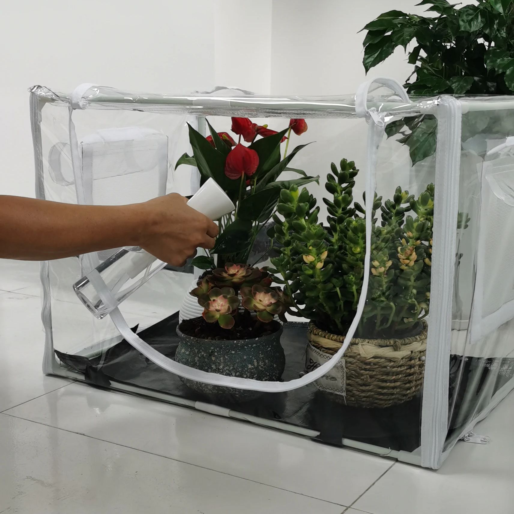Compact Indoor/Outdoor Greenho - Grow Bags のレビューと価格