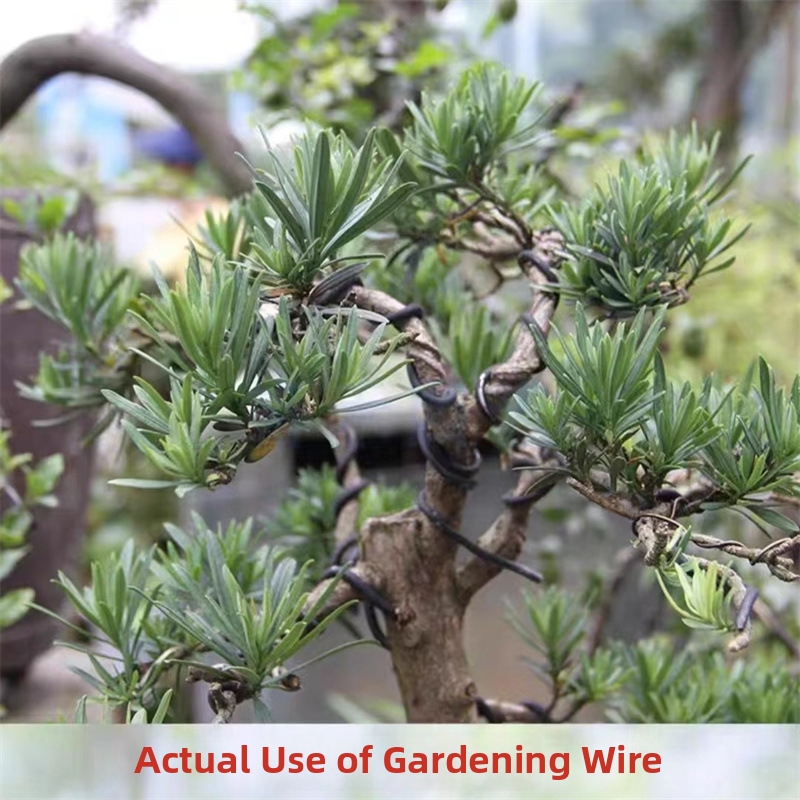 1.5MM Bonsai Wires Aluminum Bo - Gardening Tools And Uses のレビューと価格