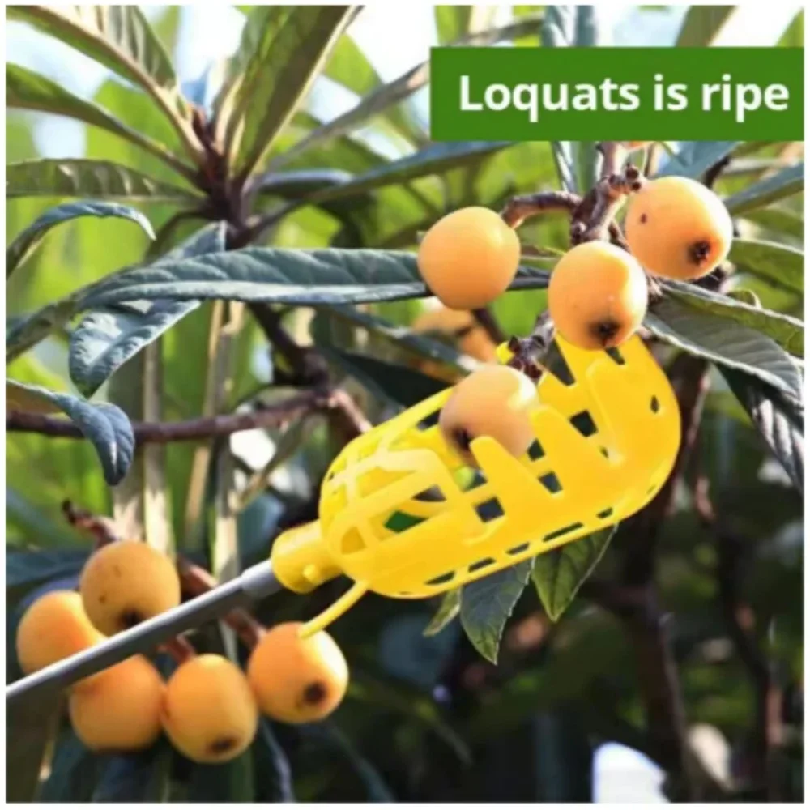 Farm Garden Picking Tools Frui - Gardening Tools Organizer のレビューと価格