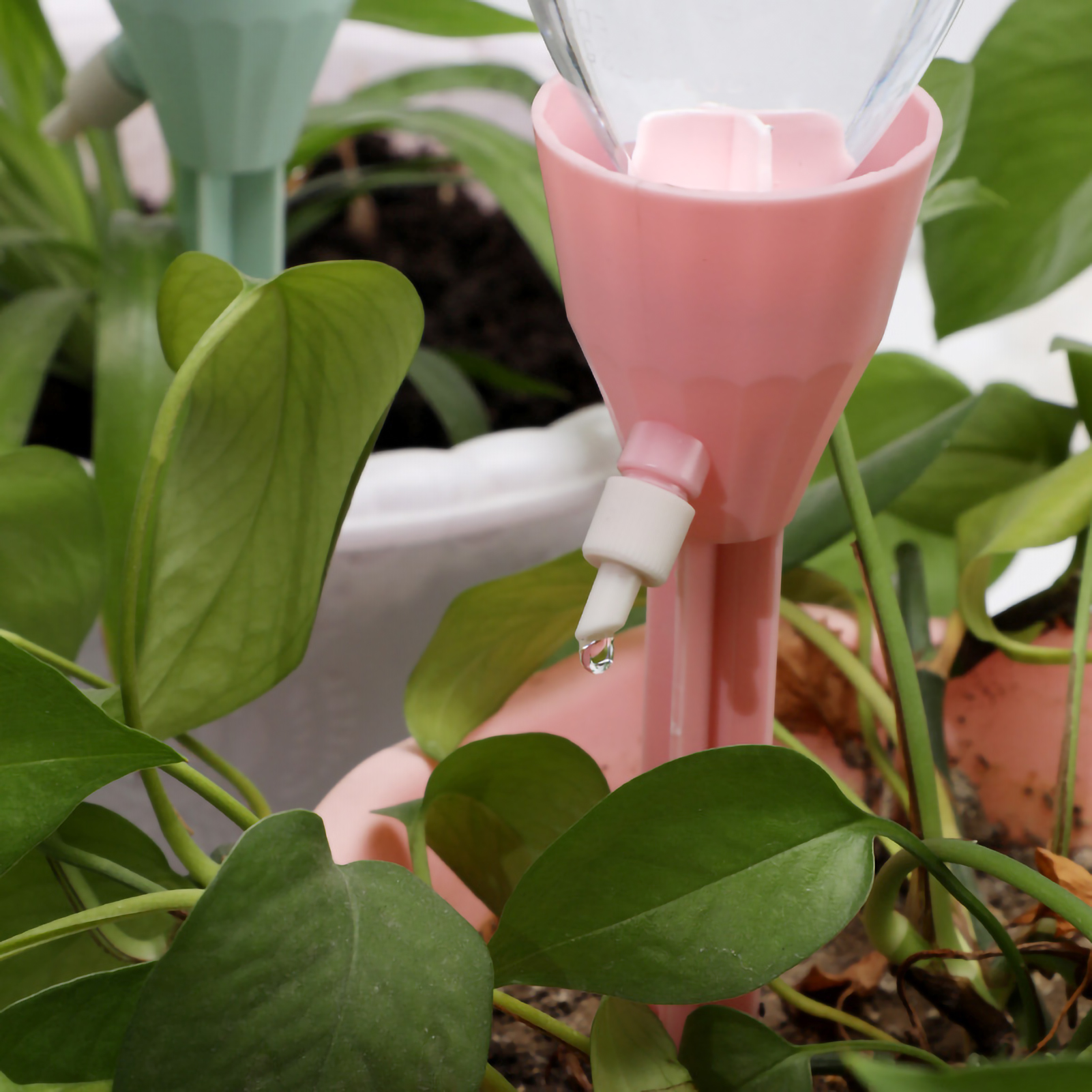 Auto Drippers Automatic Wateri - Gardening Tools Water のレビューと価格