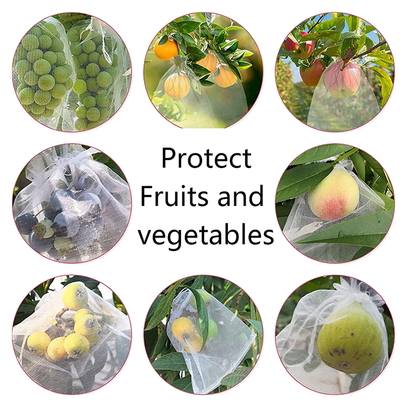 50Pcs Grapes Fruit Protection  - Grow Bags のレビューと価格
