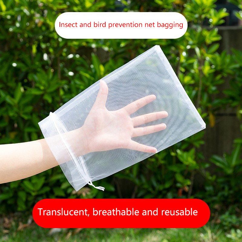 50Pcs Grapes Fruit Protection  - Grow Bags のレビューと価格