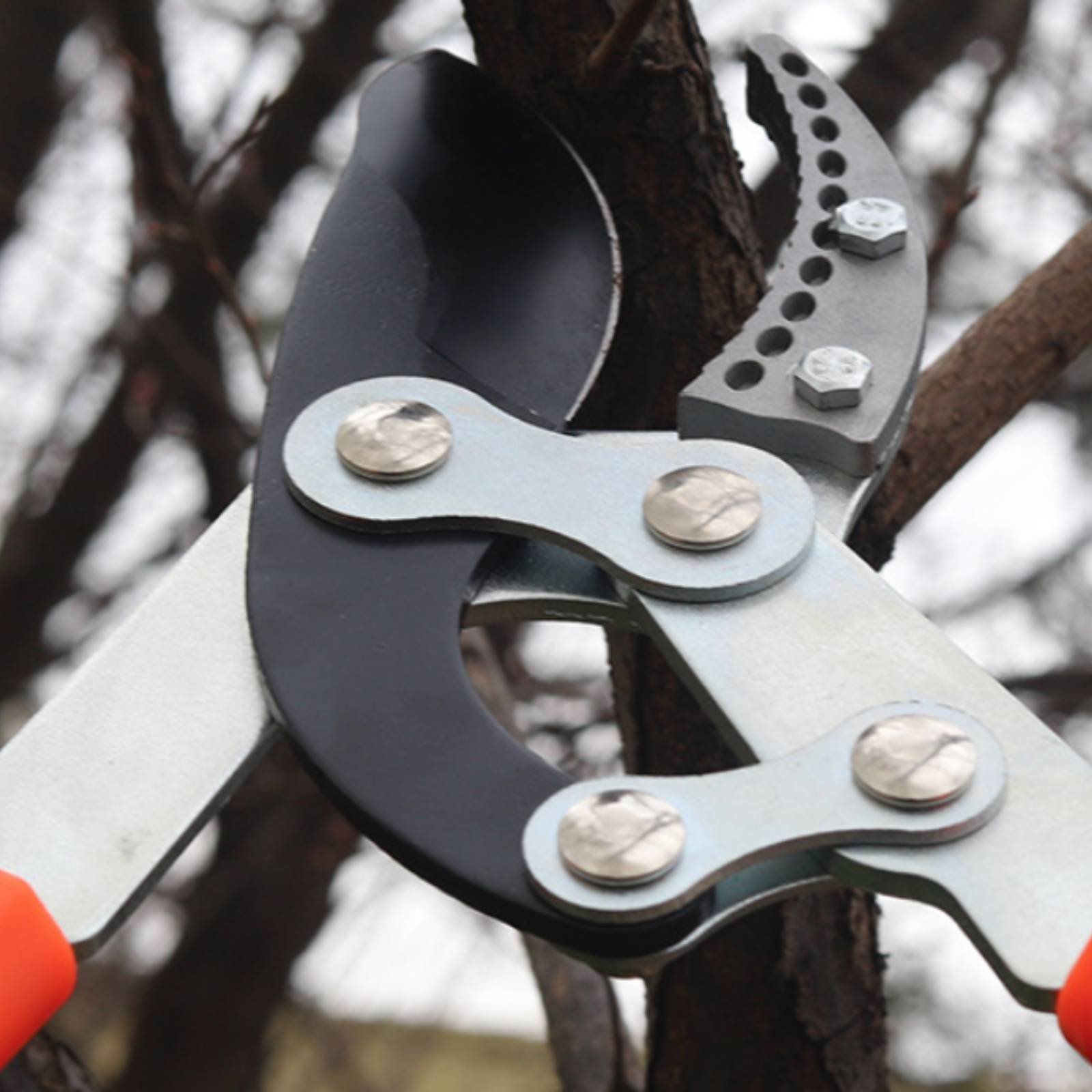 Telescopic Branch Pruners Shar - Gardening Tool のレビューと価格