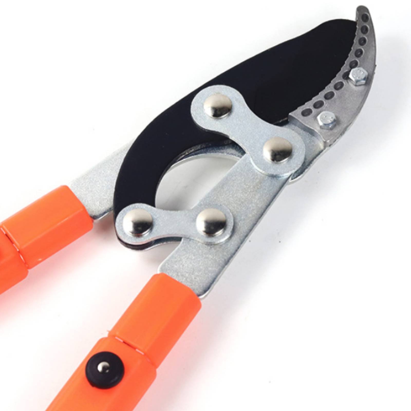 Telescopic Branch Pruners Shar - Gardening Tool のレビューと価格