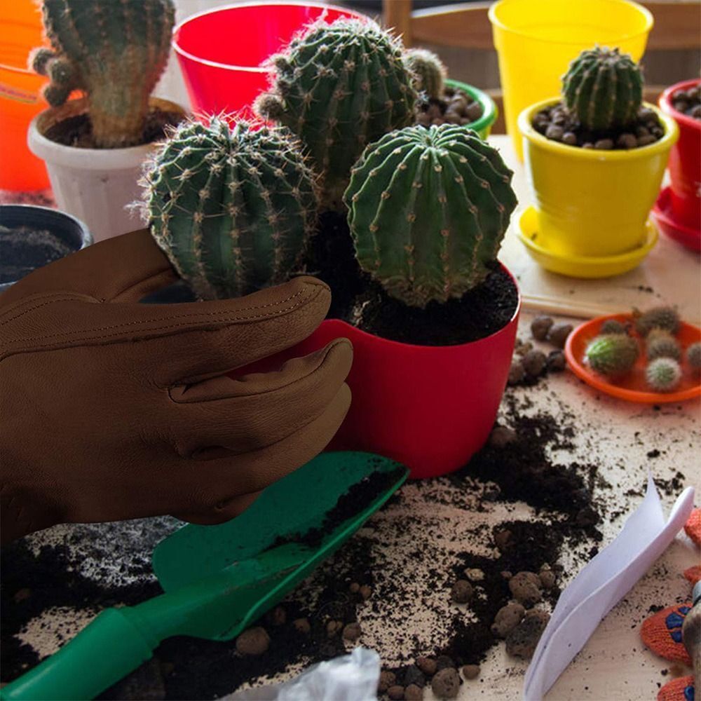 Long Tube Gardening Safety Wor - Gardening Tools For Women のレビューと価格