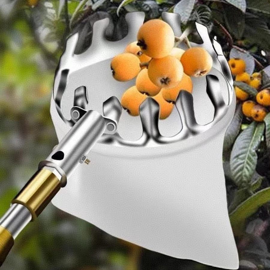 Professional Berry Picker Tool - Gardening Tools Organizer のレビューと価格