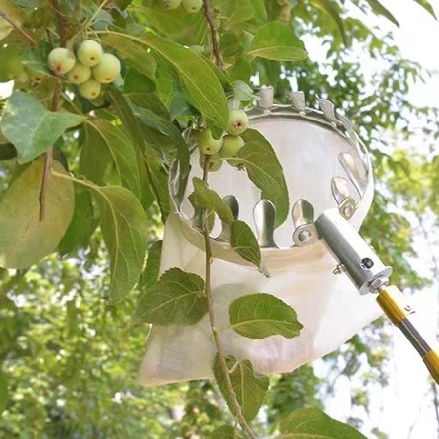 Professional Berry Picker Tool - Gardening Tools Organizer のレビューと価格