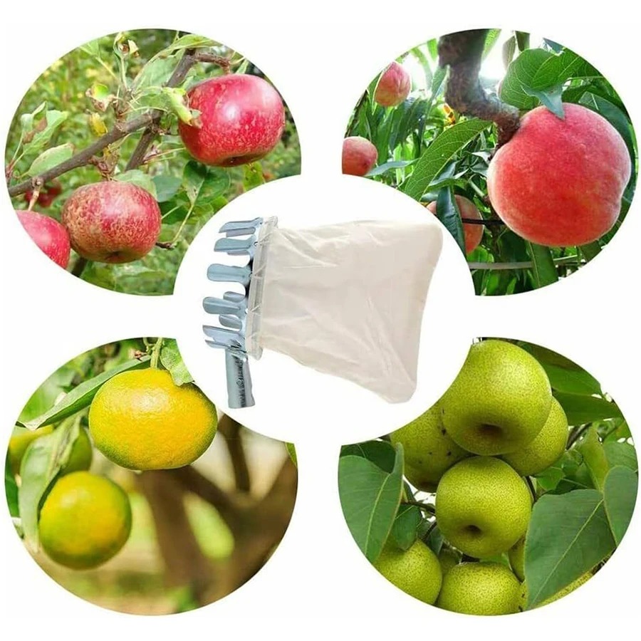 Professional Berry Picker Tool - Gardening Tools Organizer のレビューと価格