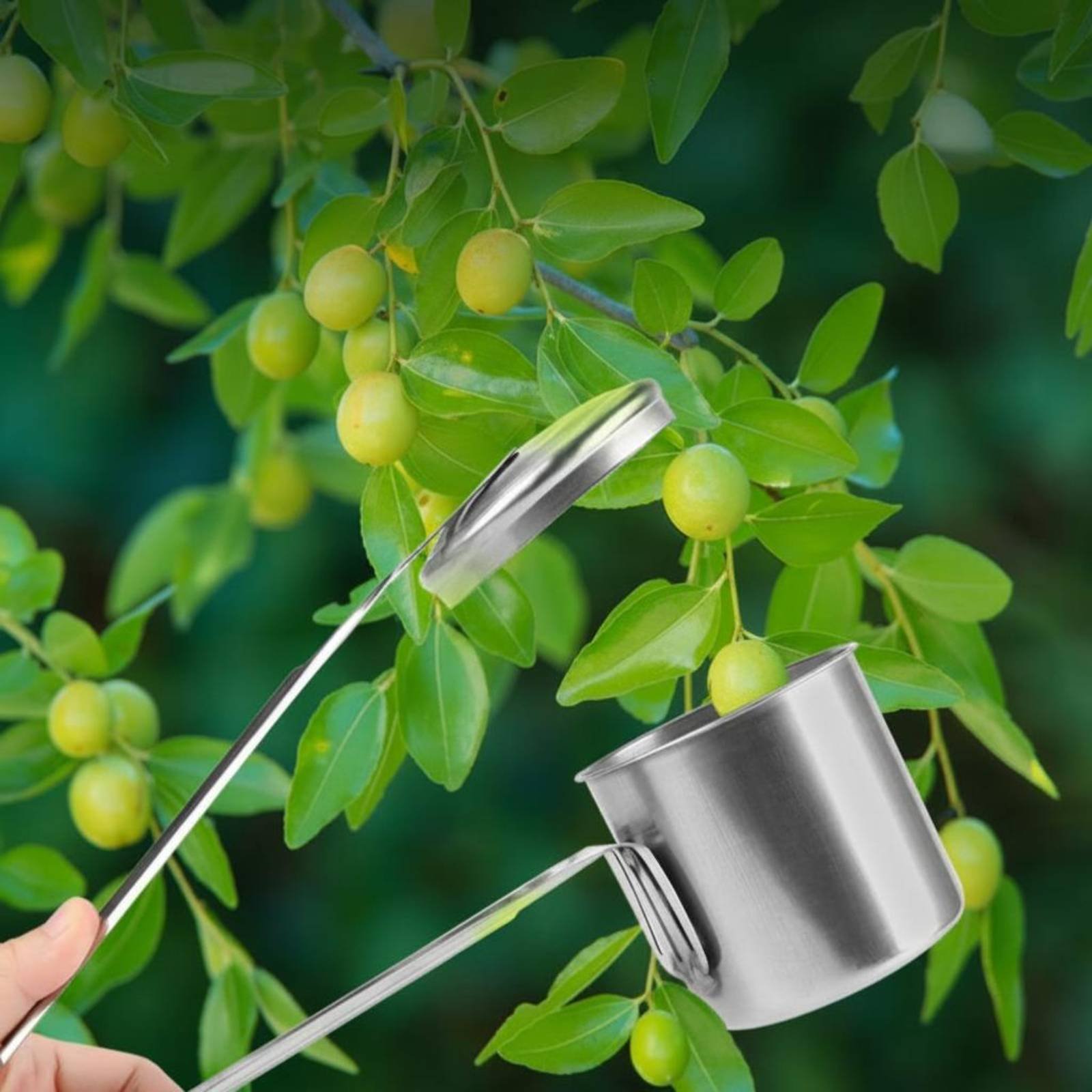 Cup Fruit Picker Stainless Ste - Gardening Tools And Uses のレビューと価格