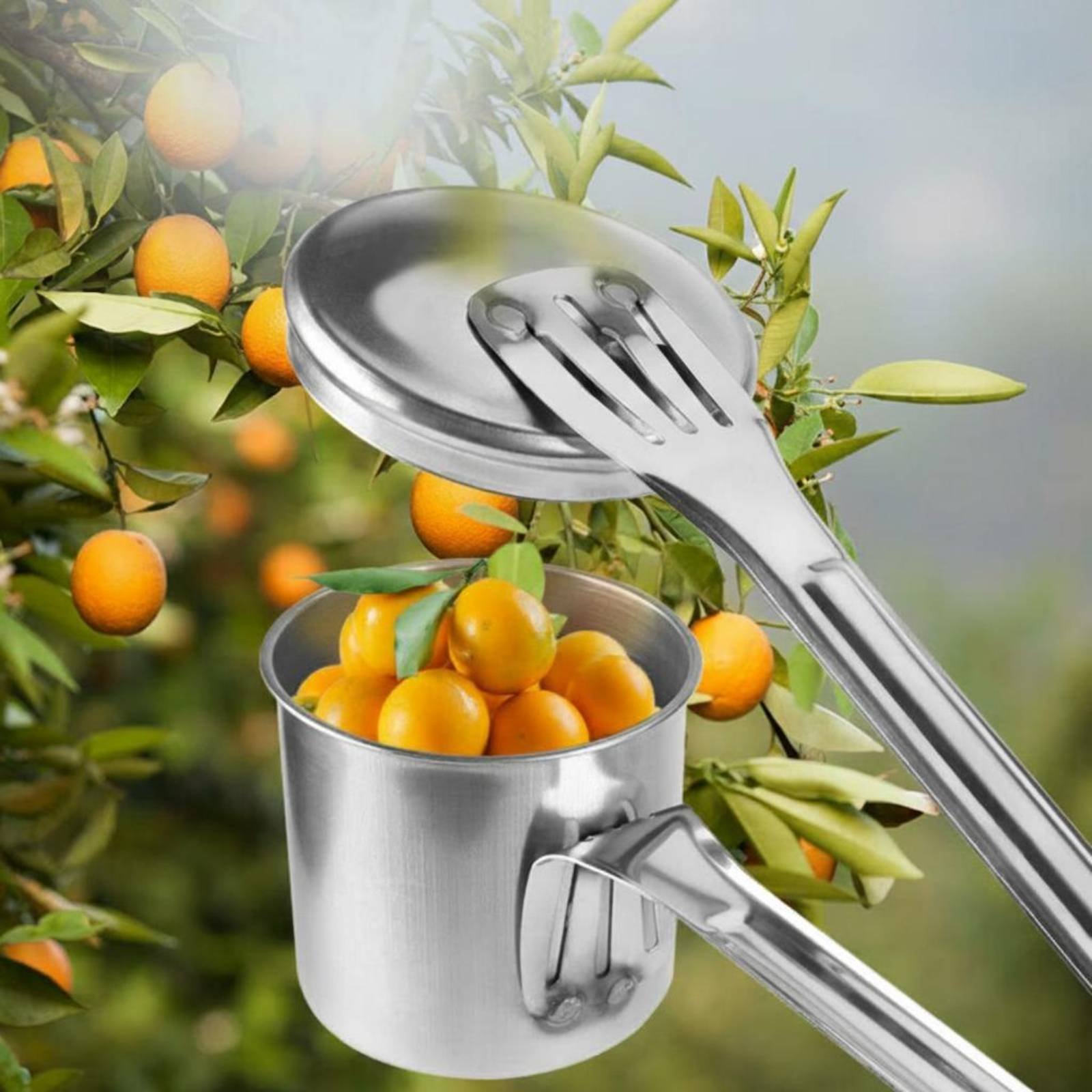 Cup Fruit Picker Stainless Ste - Gardening Tools And Uses のレビューと価格