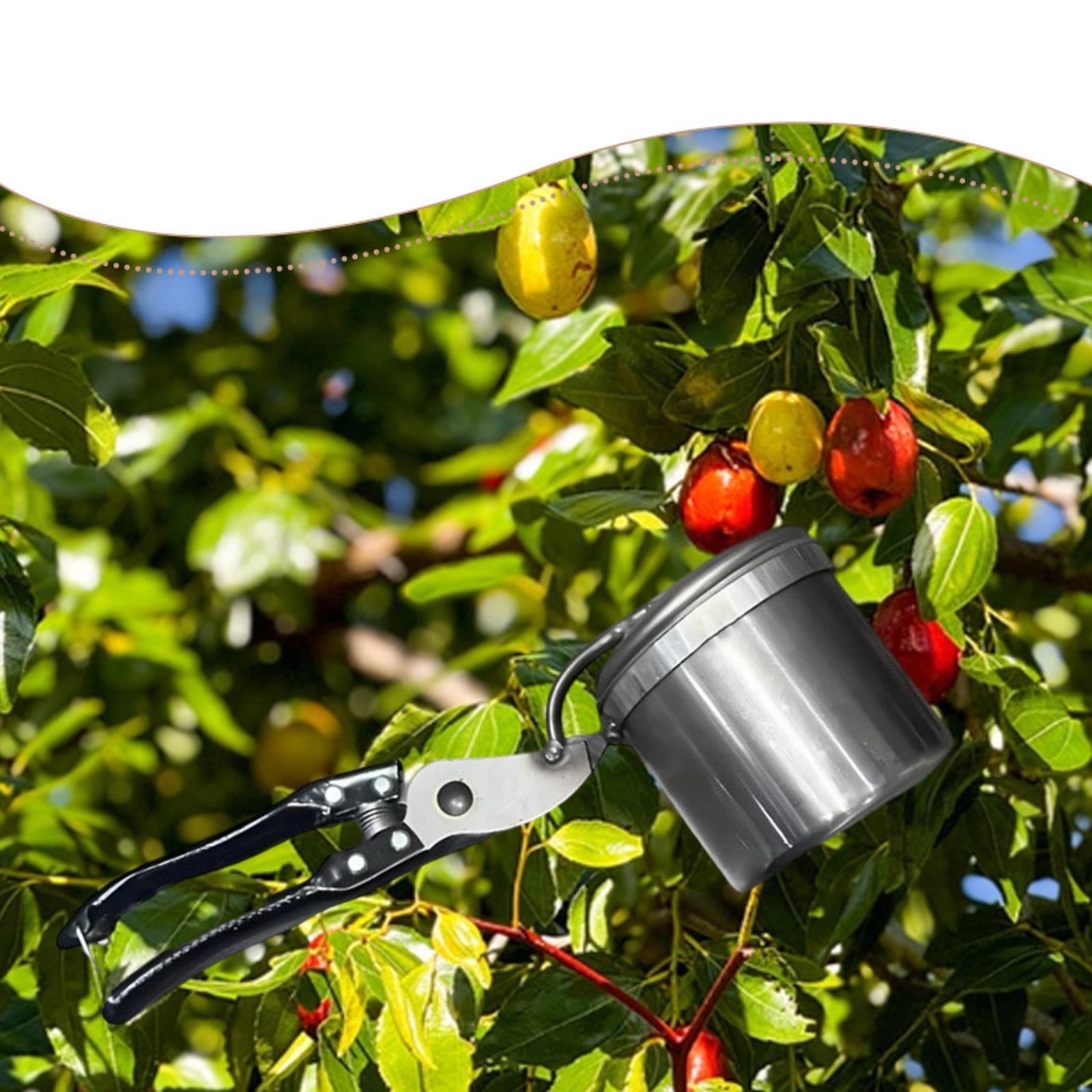Fruit Picker, Easy to Use Port - Gardening Tools And Uses のレビューと価格