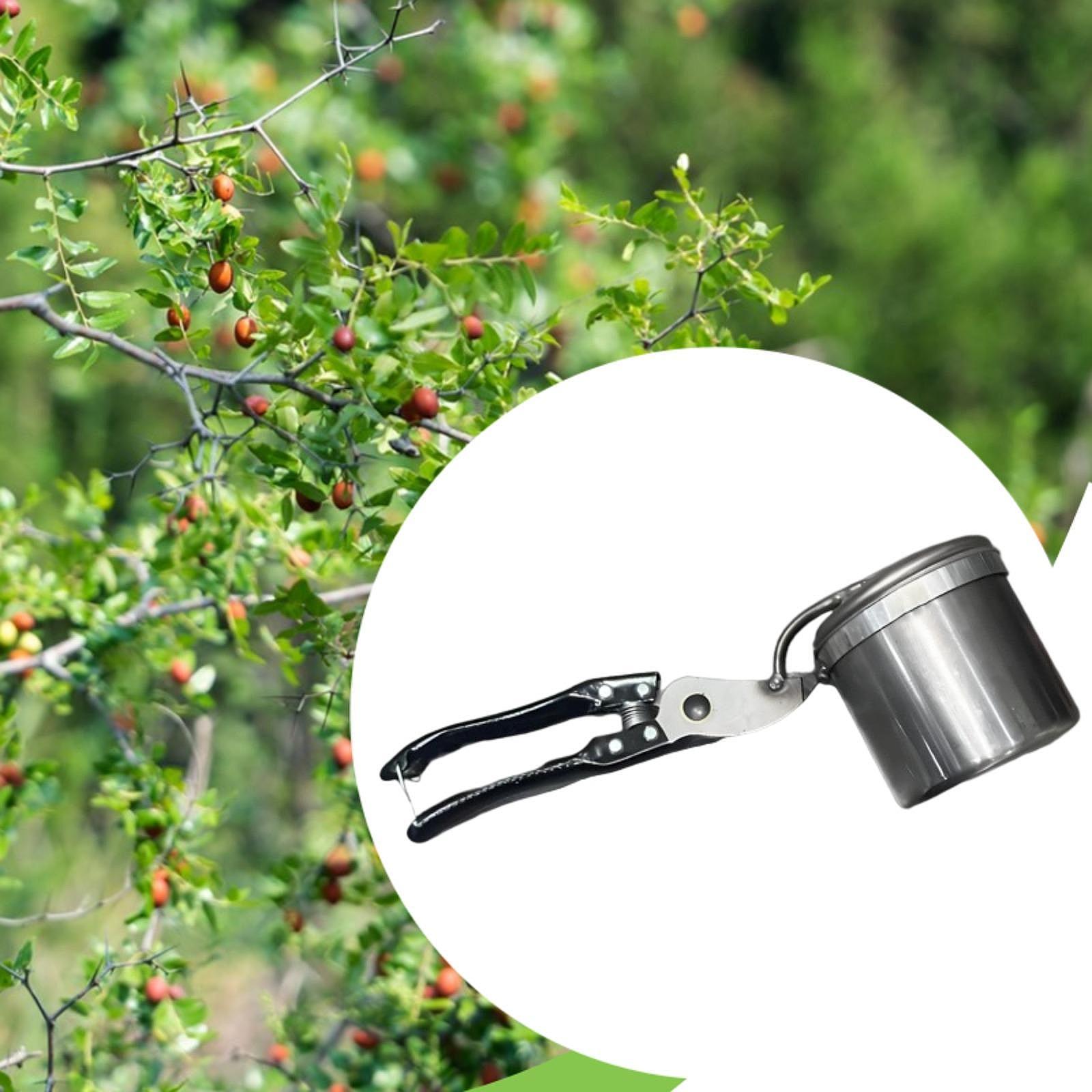 Fruit Picker, Easy to Use Port - Gardening Tools And Uses のレビューと価格