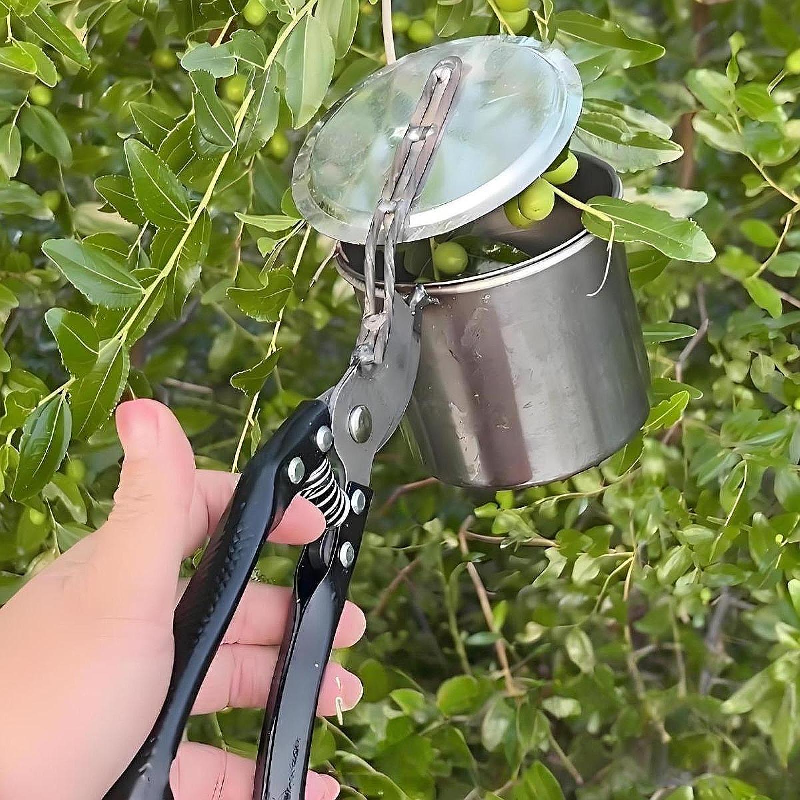 Fruit Picker, Easy to Use Port - Gardening Tools And Uses のレビューと価格